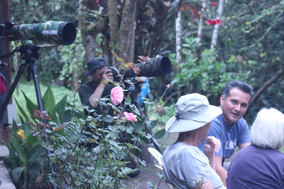 bird guide ecuador